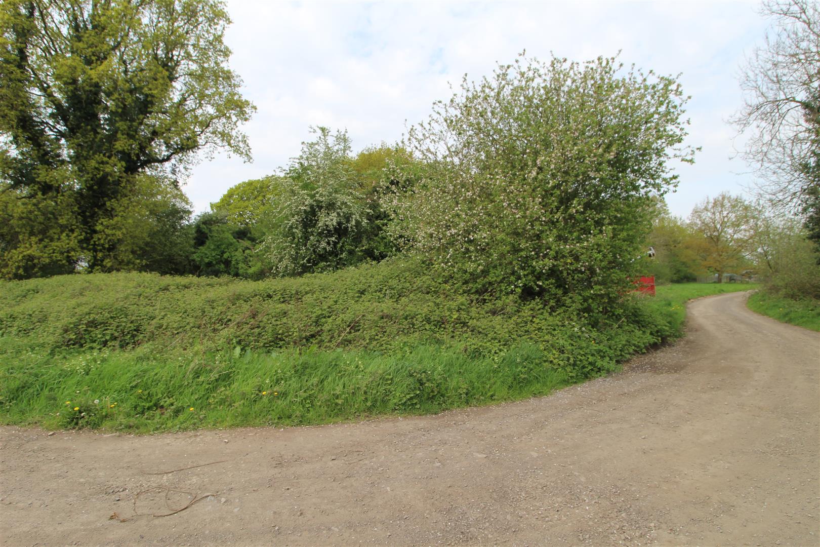 Dalton, Thirsk Thirsk and Northallerton Estate Agents, house and